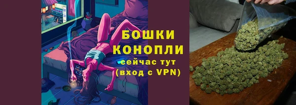 ECSTASY Каменка
