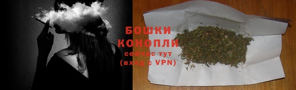 ECSTASY Каменка