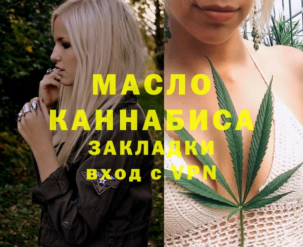 дмт Каменногорск