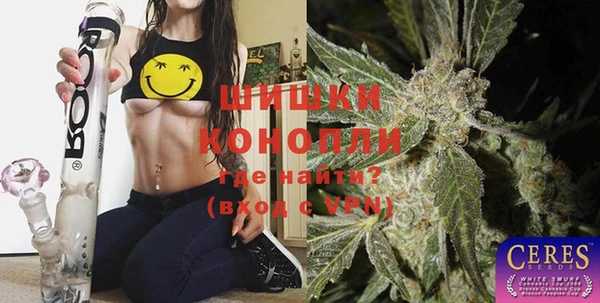 ECSTASY Каменка