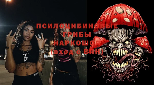 дмт Каменногорск