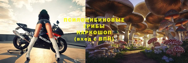 дмт Каменногорск