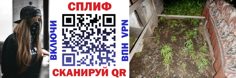 Купить где  Большой Камень  Конопля план 